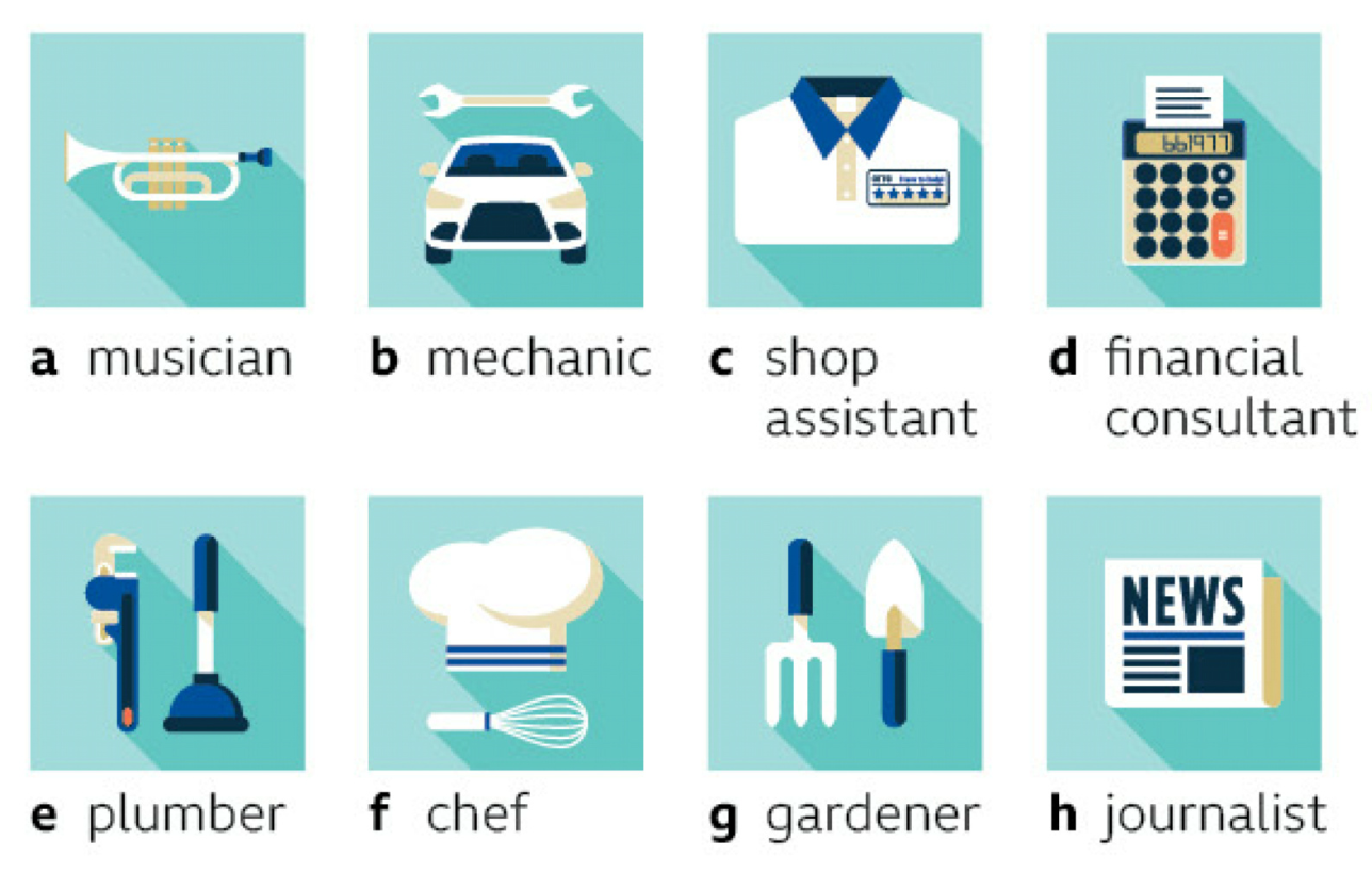 a musician, b mechanic, c shop assistant, d financial consultant, e plumber, f chef, g gardener, h journalist